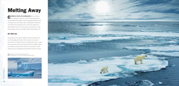 The cover of Ocean Endangered, featuring its title and cover design.