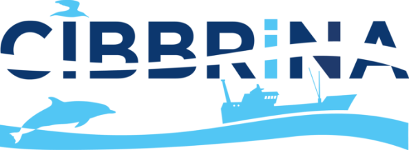 CIBBRiNA logo